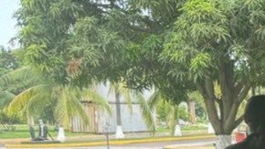 Decomiso de droga