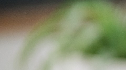 Remedios naturales para aliviar el dolor de garganta: qué dice la evidencia