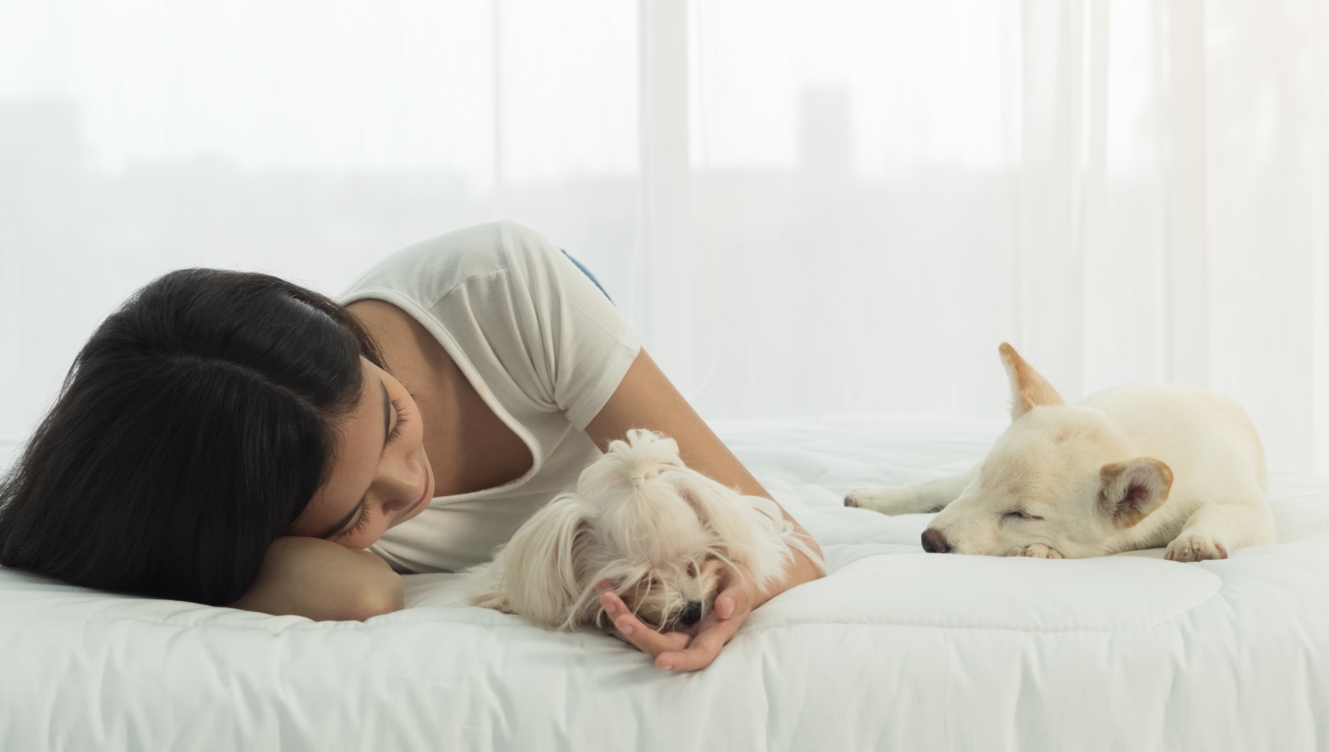 Dormir con tu perro o gato puede ofrecer beneficios, pero también destroza tu descanso: esto dice la ciencia