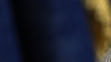 Mitch McConnell y su segunda esposa Elaine Chao