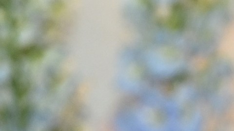 Emma Roberts y Cody John contraen matrimonio en una íntima ceremonia en Idaho