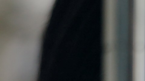 Cataratas y el glaucoma: dos enemigos silenciosos de la visión