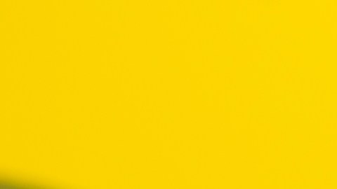 ¿Fruta entera o batida? Lo que dice la ciencia detrás del debate que divide a nutricionistas