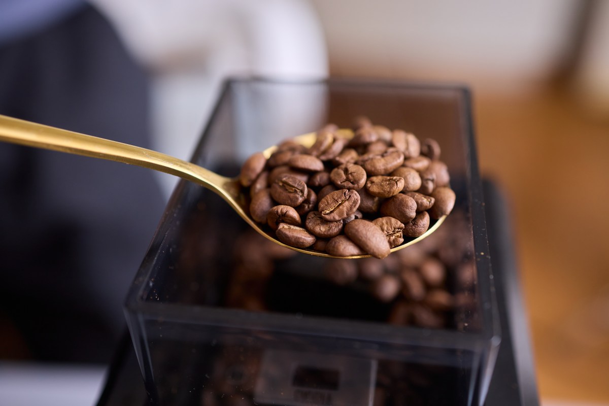 Truco con granos de café y vinagre para eliminar el olor a quemado de tu casa tras el 4 de julio