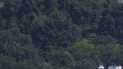 Construcción de un helipuerto en el jardín sur de la Casa Blanca