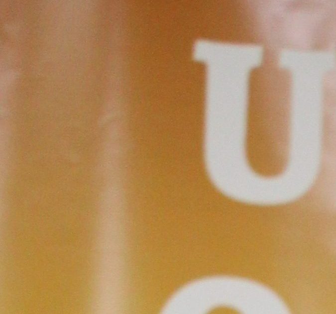 Erica Lomelí Corcoran, directora ejecutiva de la Fundación UFW, explicó las dificultades para realizar una encuesta como “Bajo el sol y fuera de las sombras".