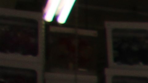 Imagen habitual en las tiendas del Distrito de la Moda en el centro de Los Ángeles desde las redadas de ICE en junio de 2025.