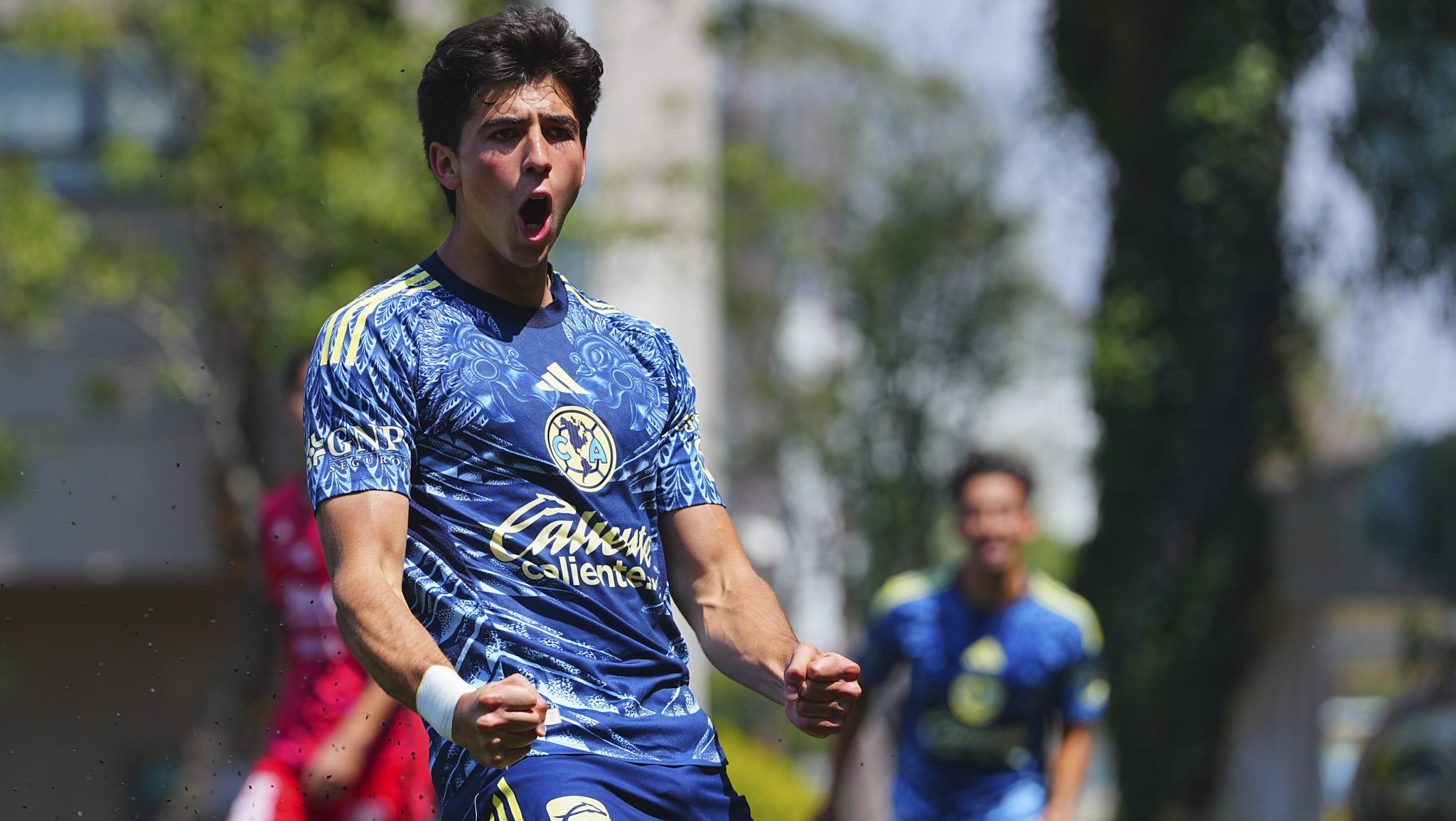 Para recuperar la grandeza del tricampeón: Las joyas de fuerzas básicas que Almada ya entrena