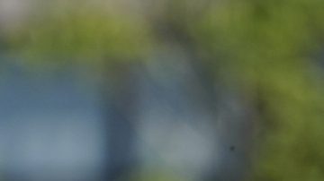 Ciudad de México, 15 de marzo de 2026. Alejandro Cárdenas en festejo de gol, durante el partido correspondiente a la jornada 11 del torneo Clausura 2026 de la Liga BBVA MX categoría Sub19, entre las Águilas del América y los Cañoneros de Mazatlán FC, realizado en Coapa. Foto: Imago7/Manlio Contreras
