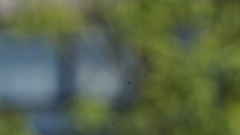 Ciudad de México, 15 de marzo de 2026. Alejandro Cárdenas en festejo de gol, durante el partido correspondiente a la jornada 11 del torneo Clausura 2026 de la Liga BBVA MX categoría Sub19, entre las Águilas del América y los Cañoneros de Mazatlán FC, realizado en Coapa. Foto: Imago7/Manlio Contreras