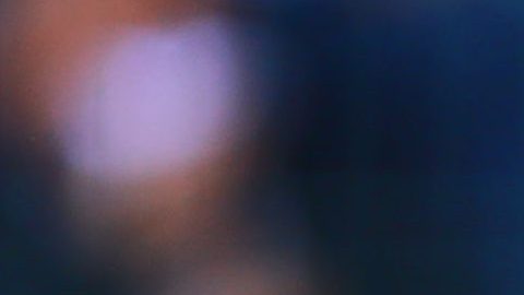 La Volpe inició su carrera en el fútbol mexicano.