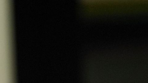 La orden ejecutiva de Trump sobre ciudadanía por nacimiento permanece bloqueada tras el fallo judicial.