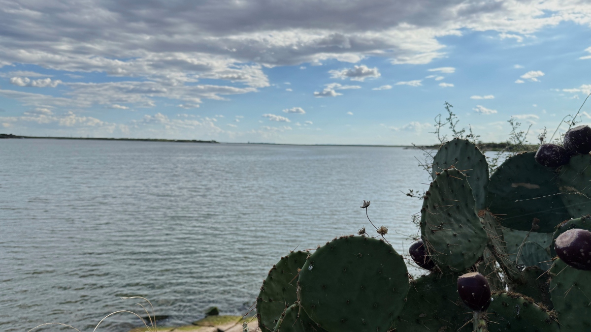 Dos adolescentes fueron arrestados tras el hallazgo del cuerpo de un joven de 18 años en un lago de Texas