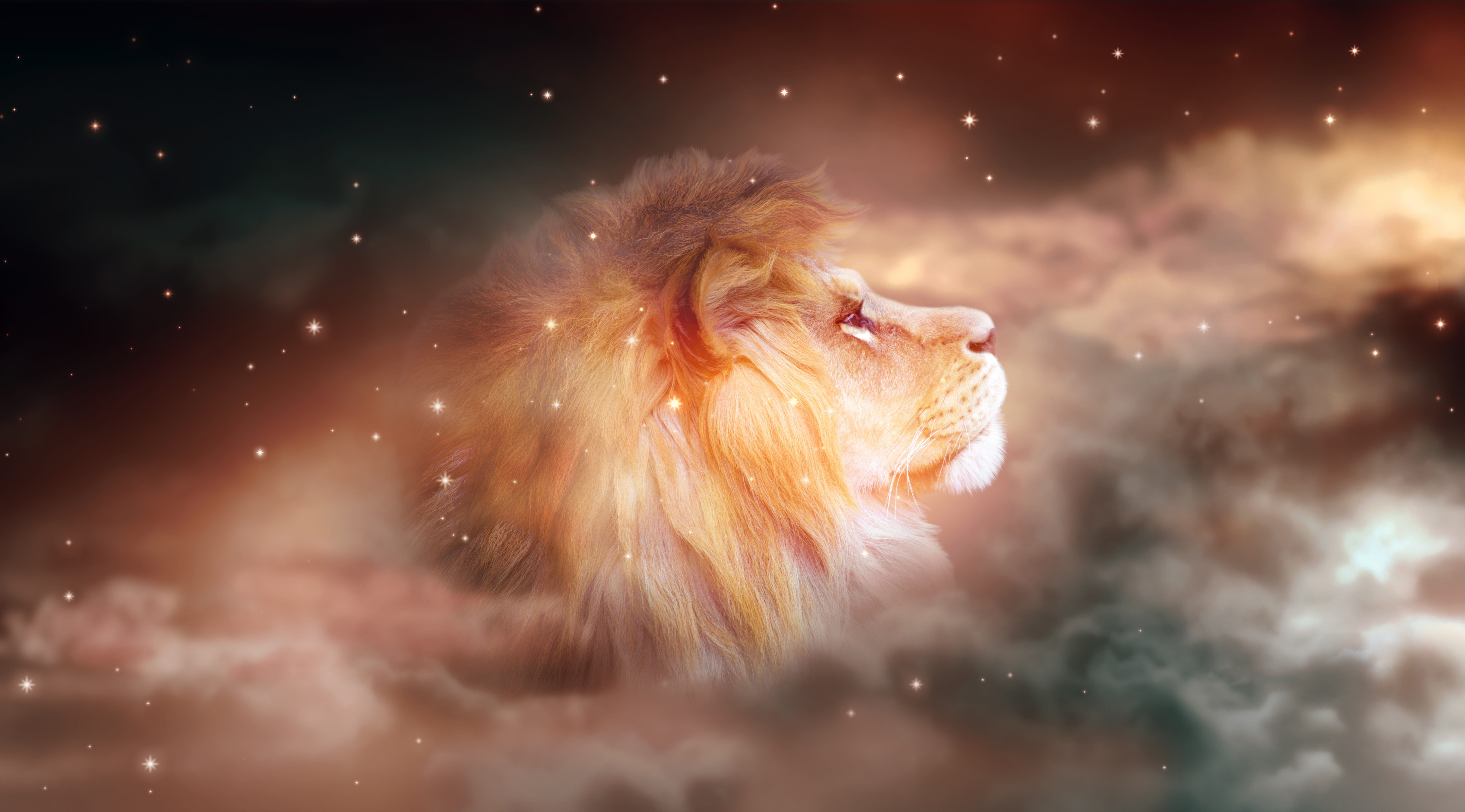 Temporada de Leo 2026: qué significa este poderoso ciclo para cada signo