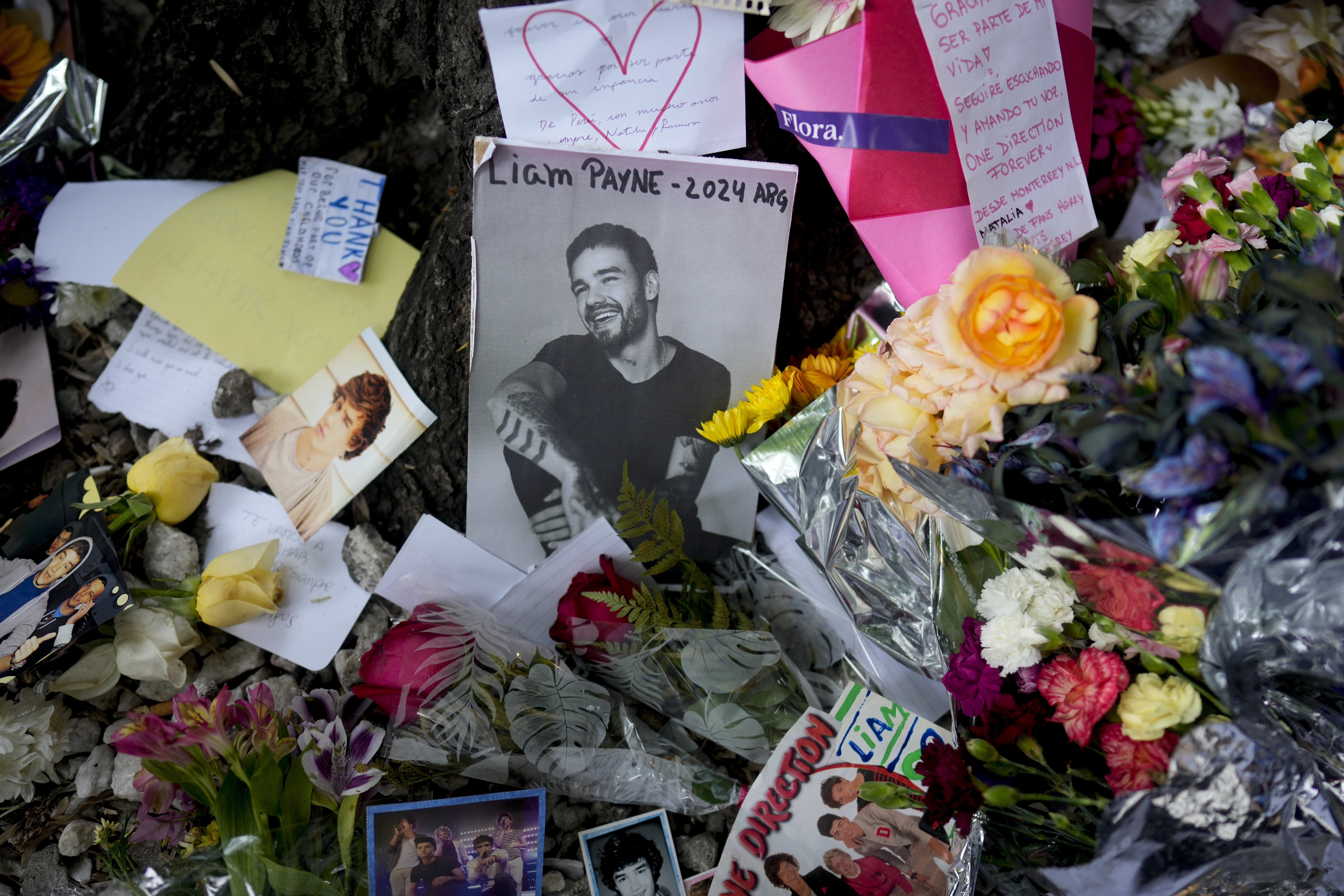 Roger Nores, empresario argentino, es absuelto definitivamente en el caso por la muerte de Liam Payne
