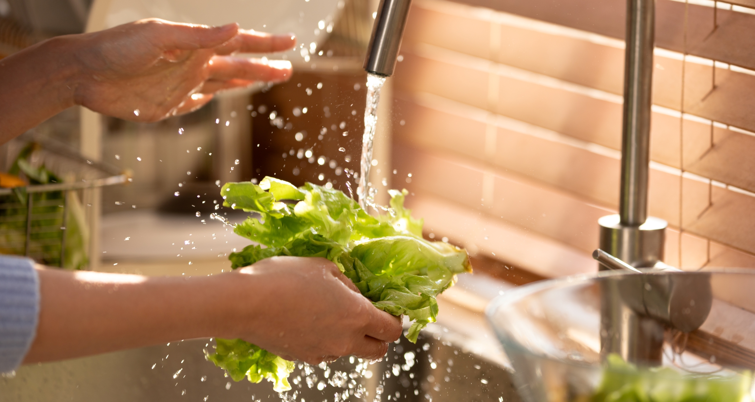 Brote masivo de diarrea está relacionado con consumo de lechuga y verduras de hoja verde