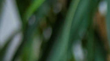 Cómo es el proceso del sueño, según la edad