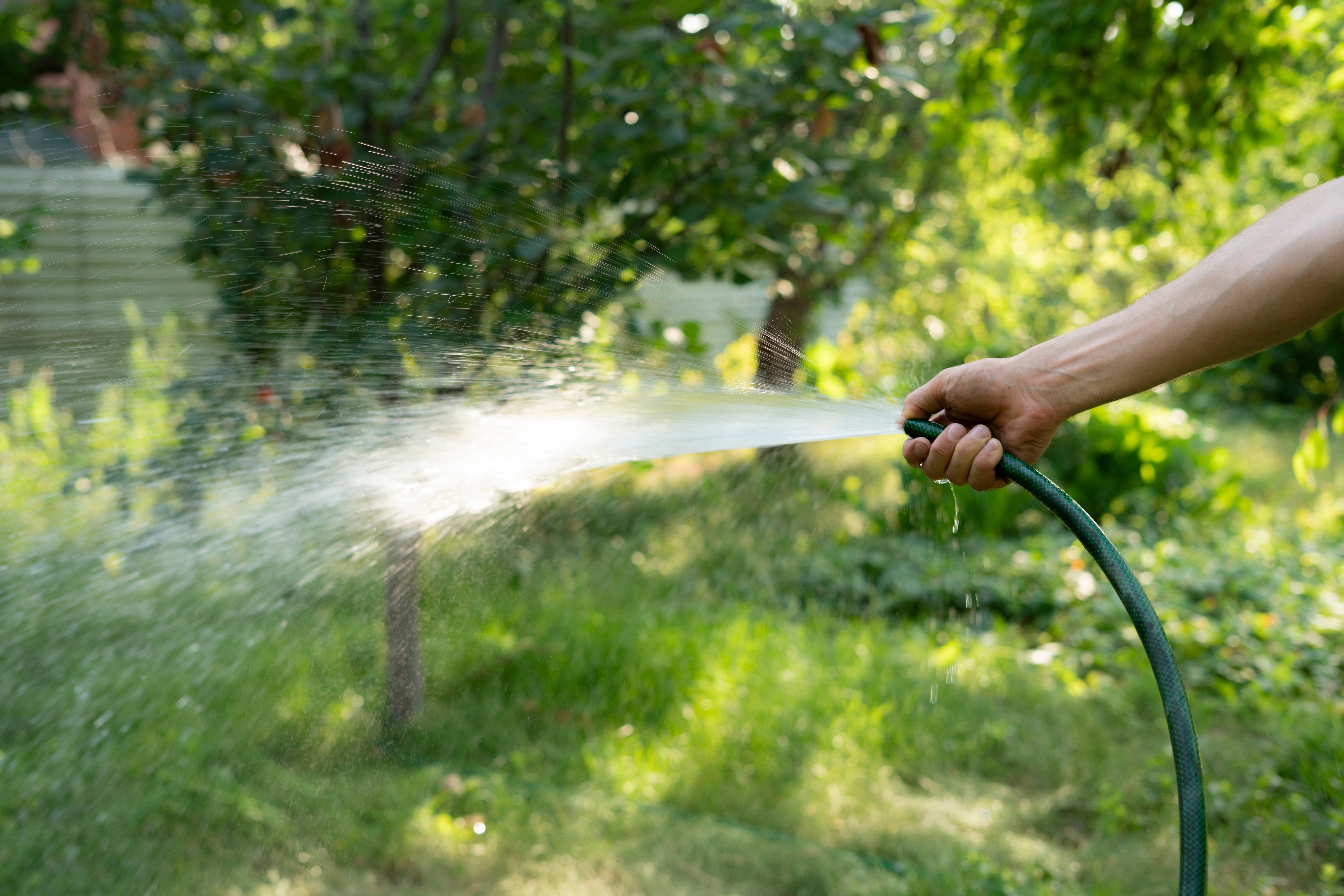 Multas y corte de servicio: la drástica medida de esta compañía de agua en Utah
