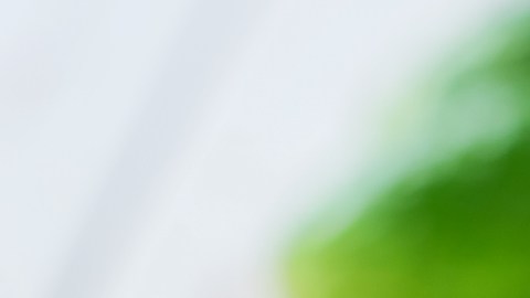 Pepinos: fibra, hidratación y control de calorías