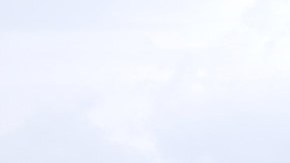 Avión de Southwest Airlines