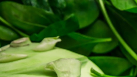 Verduras de hoja verde y salud pulmonar: un nuevo hallazgo