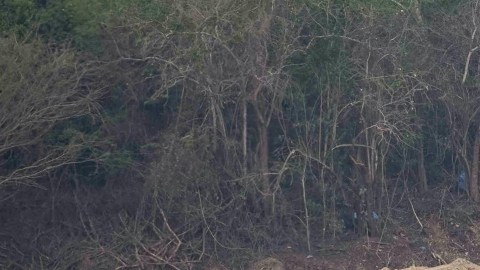 Víctimas de Venezuela