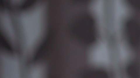Las personalidades de los signos pueden ser complejas de entender.