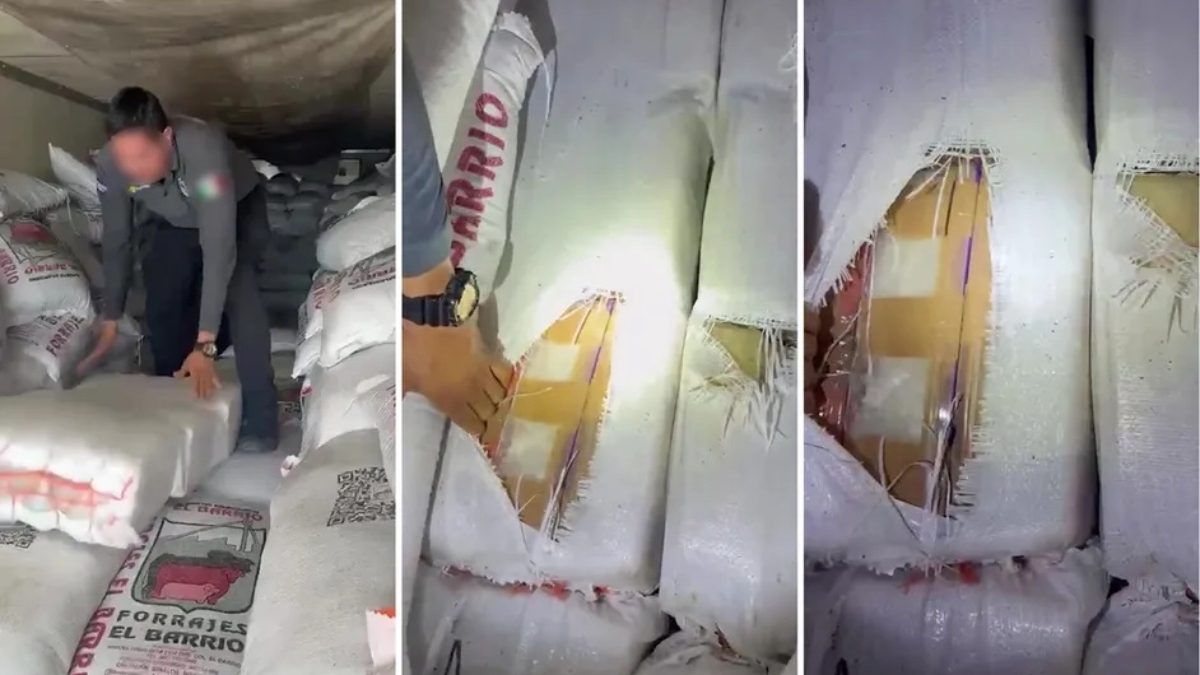 Enorme decomiso de droga en Sonora: más de 3 toneladas de metanfetaminas ocultas en alimento para ganado