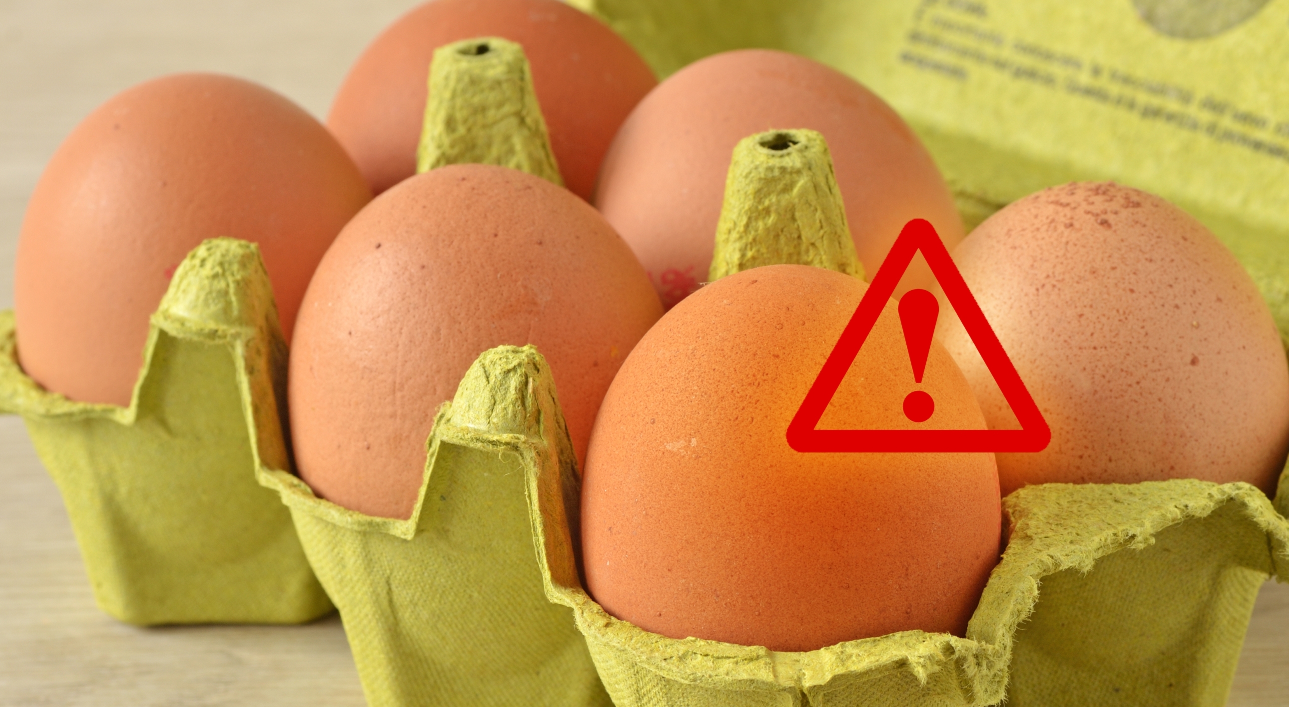 Brote de salmonela relacionado con los huevos ha enfermado a casi una centena de personas