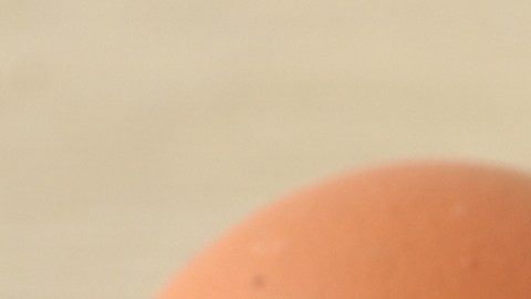 Brote de salmonela relacionado con los huevos ha enfermado a casi una centena de personas