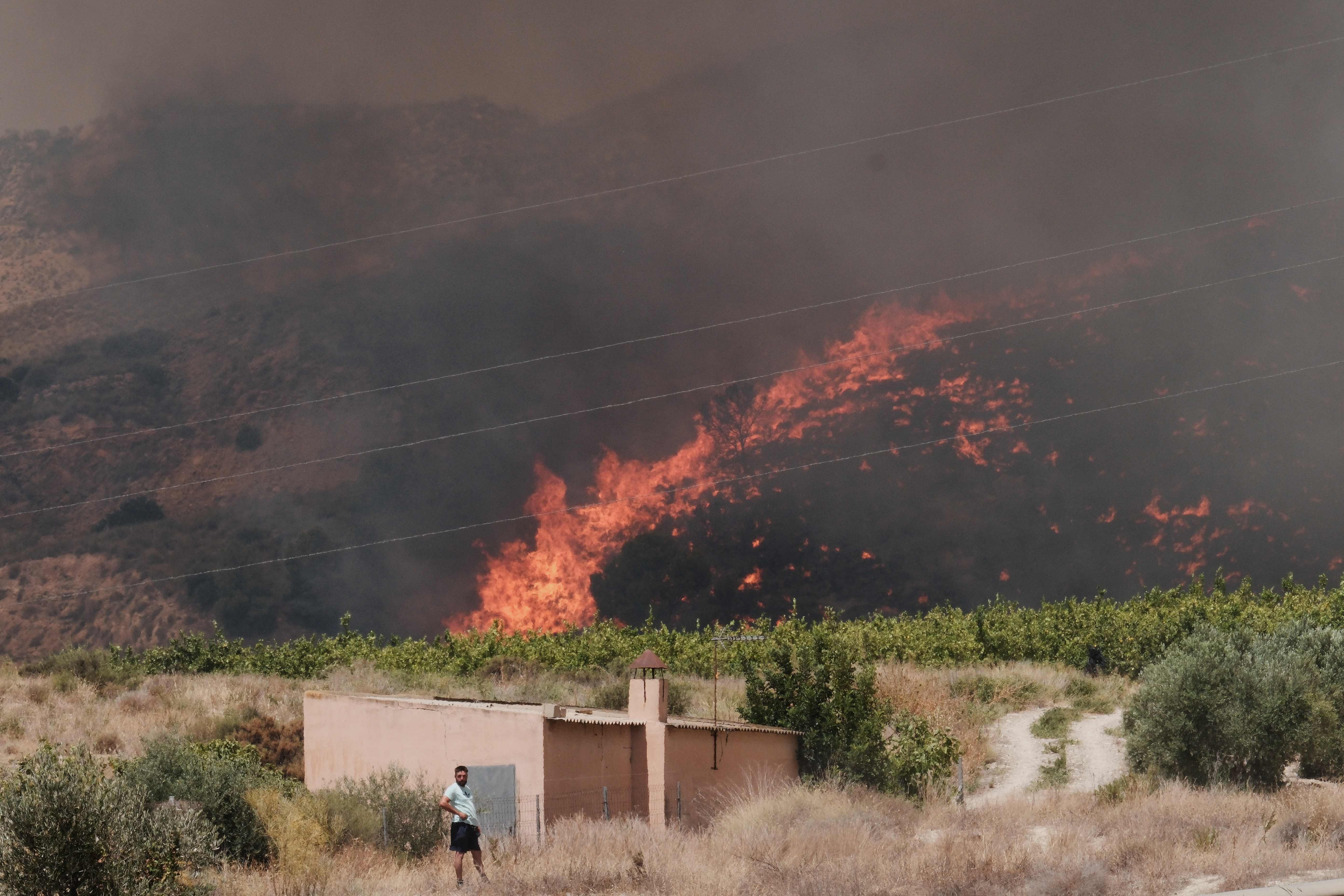 Incendios en España dejan muertos y desaparecidos: el fuego arrasa miles de hectáreas