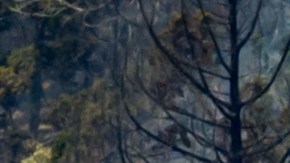 El incendio de Bench arde a lo largo de las orillas del río Deschutes el sábado 25 de julio de 2026