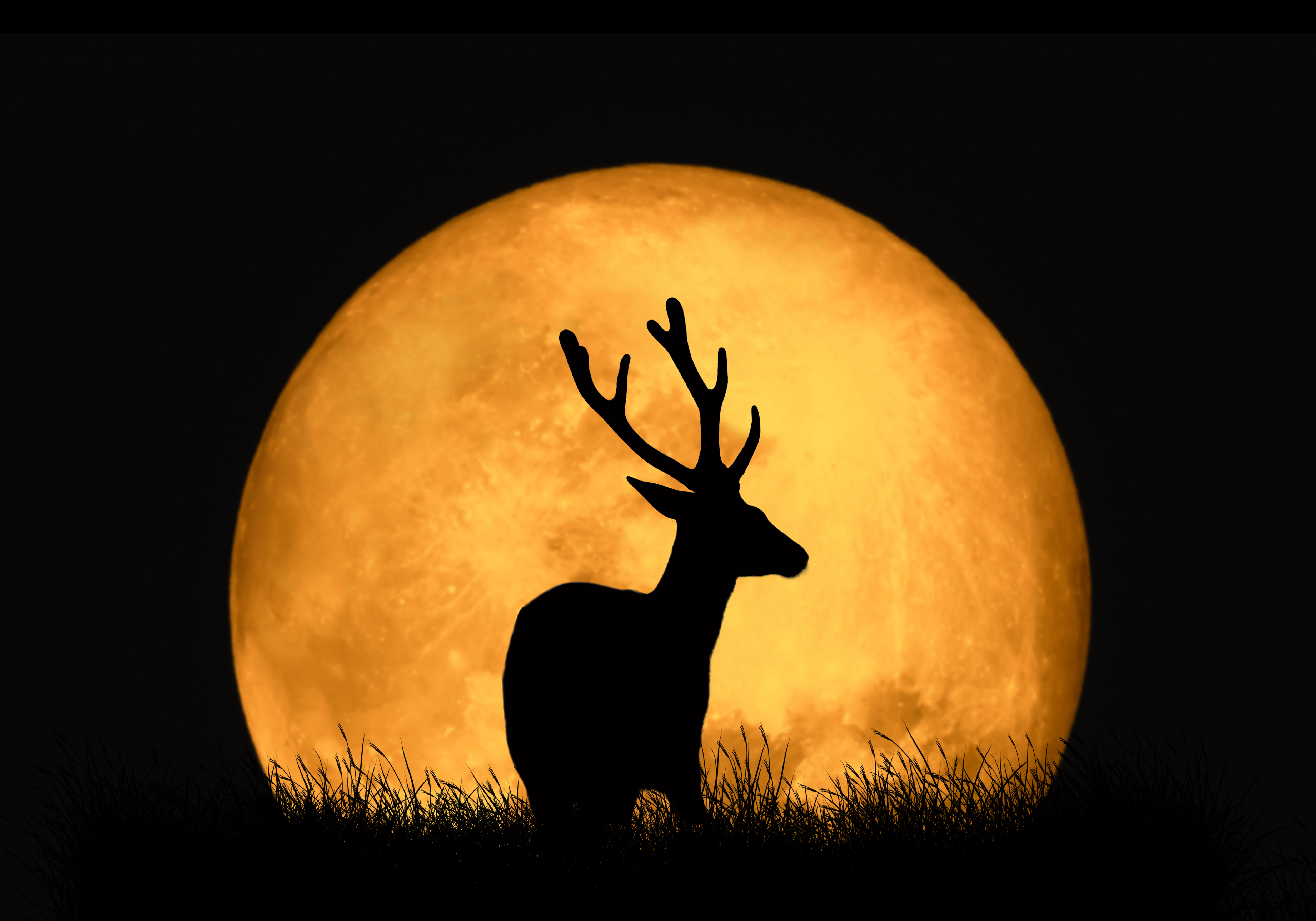 El 29 de julio llega la Luna de llena de Ciervo: cómo te afecta, según tu signo