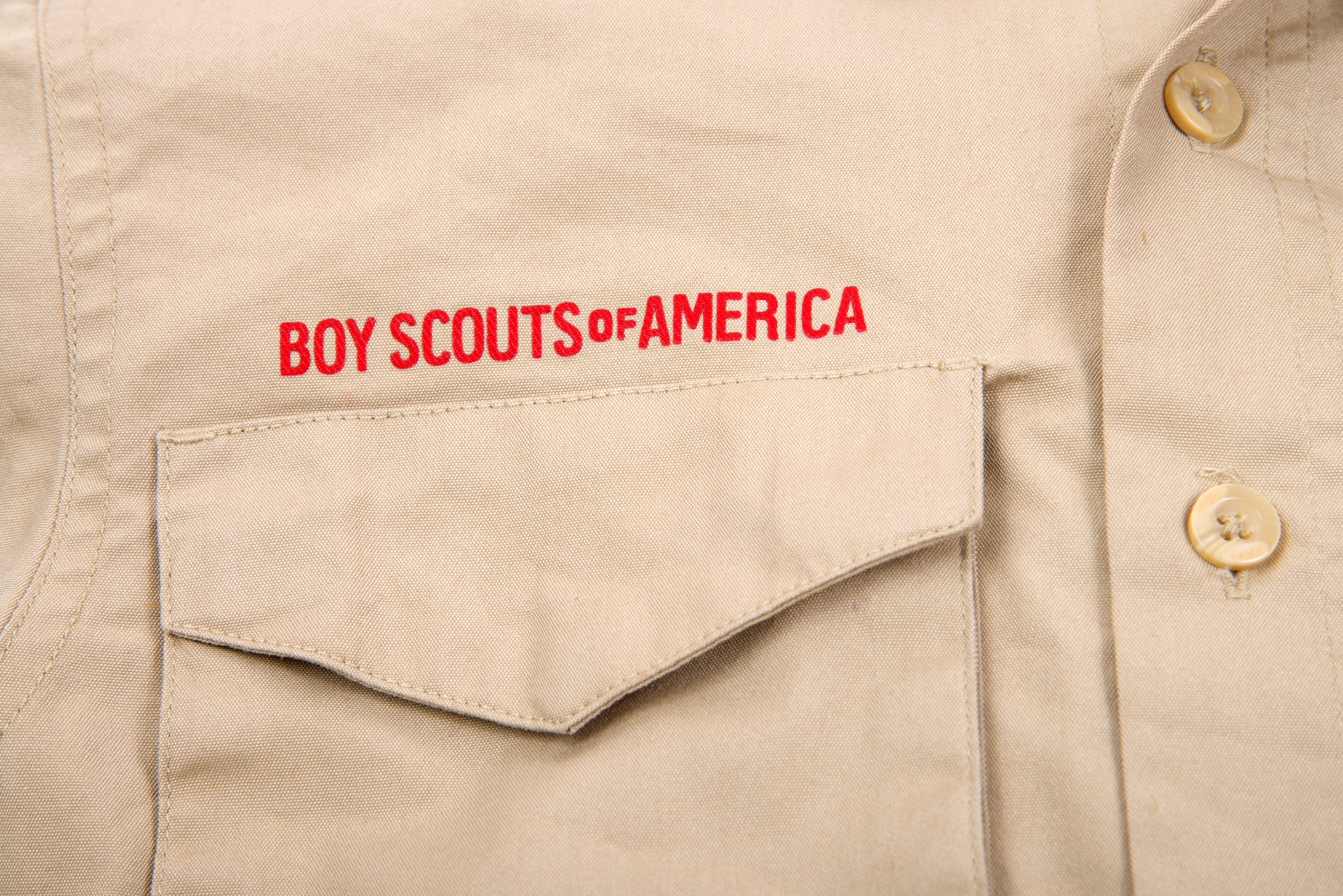 Niño de 11 años muere tras ser golpeado por un árbol en un campamento Scout de Michigan