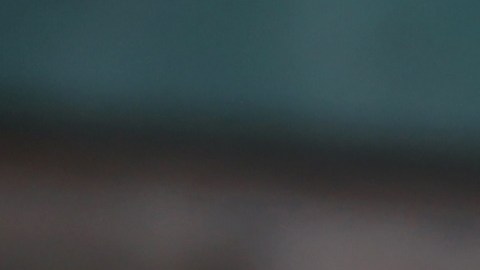 Sus familias anunciaron que ambos serán sepultados juntos.