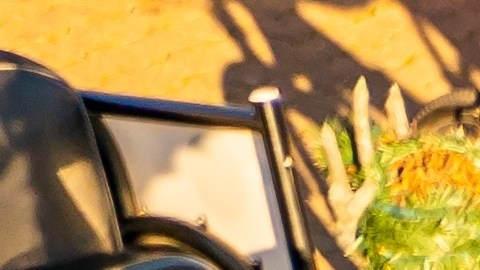 Waymo asegura que no se opone a un marco federal que estandarice protocolos de seguridad ante personal y vehículos de emergencia