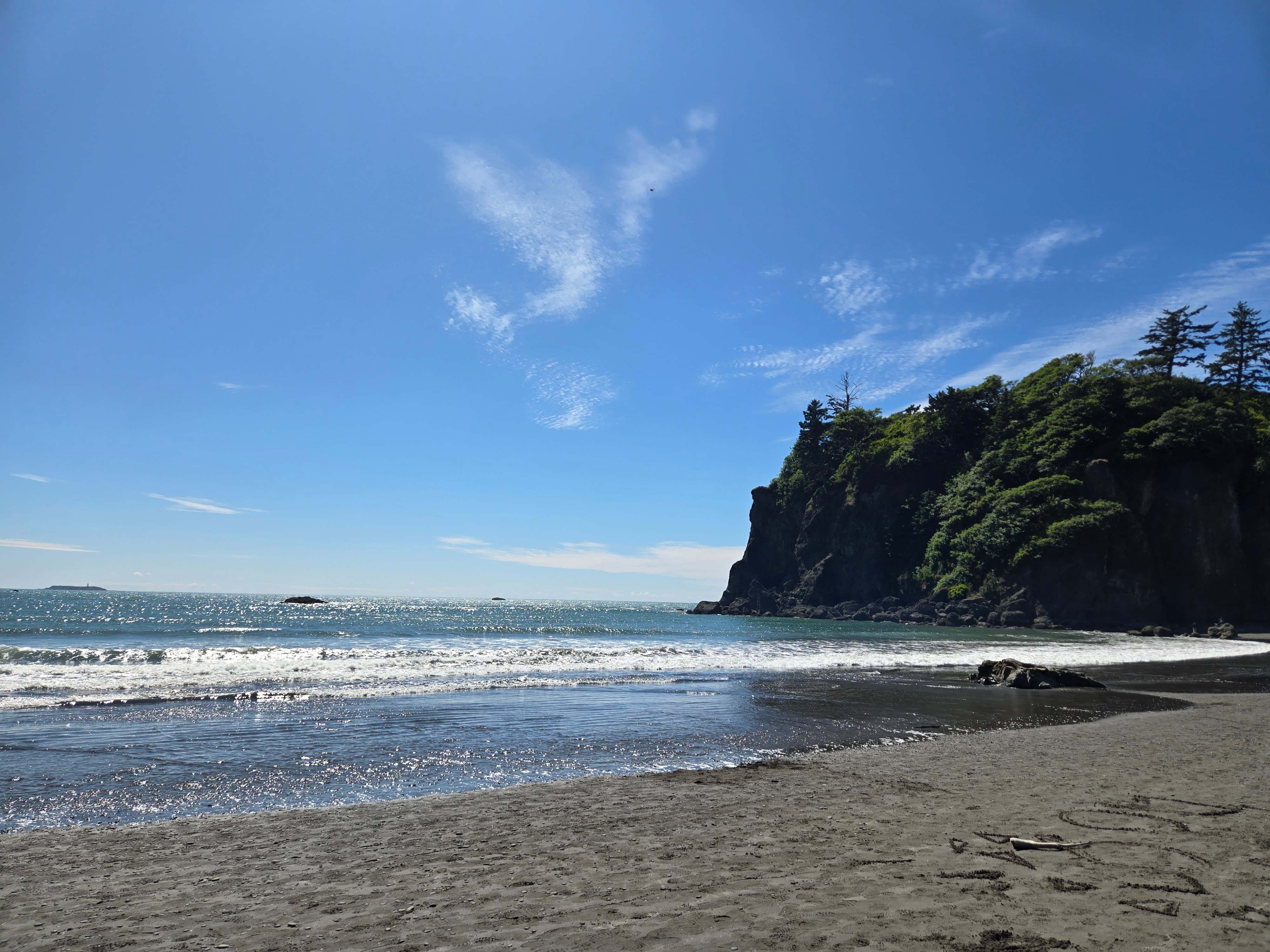 Niño de 6 años murió aplastado por un enorme tronco mientras jugaba en una playa de Washington