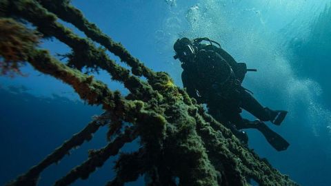 Cómo los buques varados en el estrecho de Ormuz pueden desencadenar una "superpropagación" de especies marinas invasoras