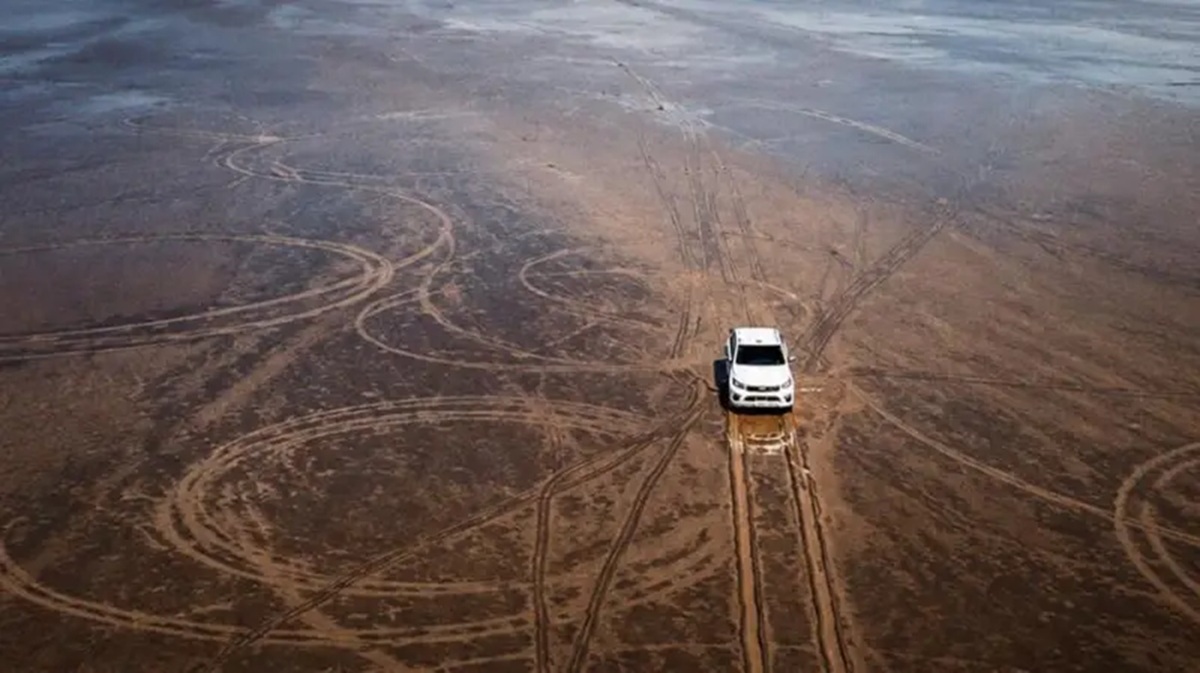 La indignación por el daño ambiental que causó un hombre con su camioneta en un ecosistema en Argentina