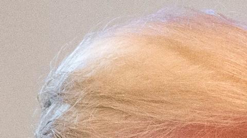 Donald Trump y Vladimir Putin.
