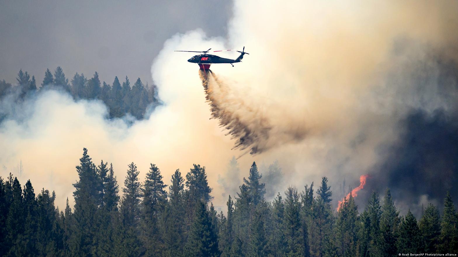 Incendios se intensifican en el noroeste de Estados Unidos