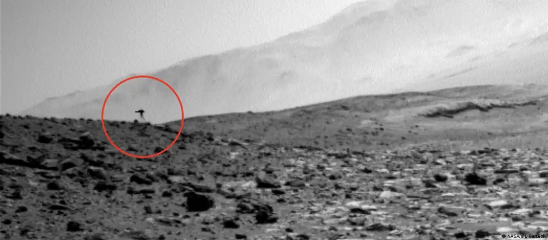 NASA capta una misteriosa "medusa" en la superficie de Marte y no se ponen de acuerdo sobre su origen