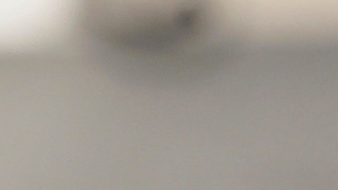 Kushner se reúne con Hamás y mediadores en Egipto para impulsar el plan de Trump para Gaza