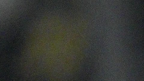 Orbelín Pineda y Matías Almeyda durante su etapa juntos en el AEK de Atenas.