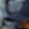Los agentes migratorios detienen a cualquier persona sospechosa de ser indocumentada.