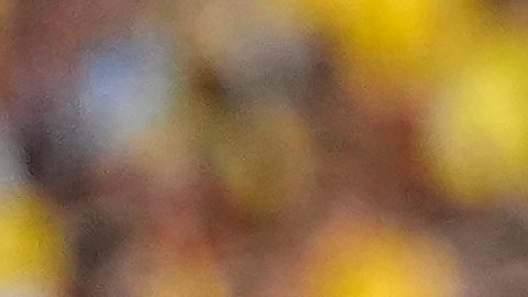 Campaz anotó un gol en el Mundial.