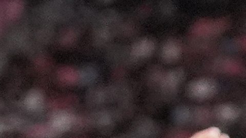 Monterrey buscará acabar con la racha invicta de Chicago Fire en el torneo.