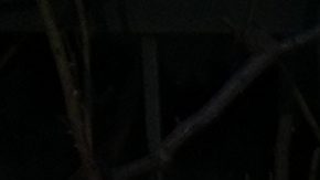Imagen del exterior del cementerio donde se realizó el sepelio de Jorge Messi.
