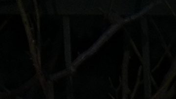 Imagen del exterior del cementerio donde se realizó el sepelio de Jorge Messi.