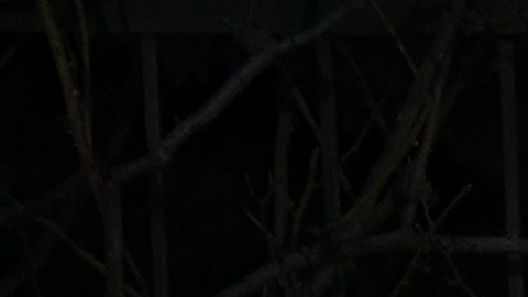 Imagen del exterior del cementerio donde se realizó el sepelio de Jorge Messi.